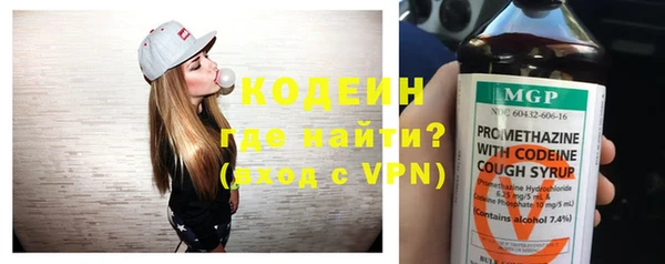 стаф Вязьма