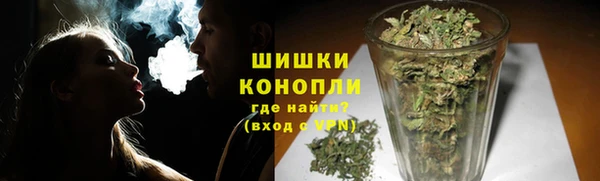 стаф Вязьма