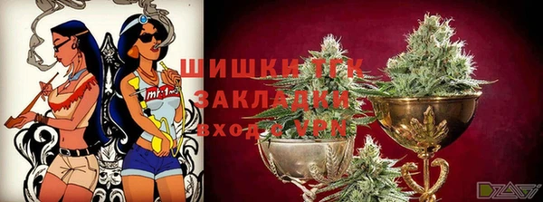 стаф Вязьма