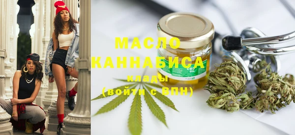стаф Вязьма