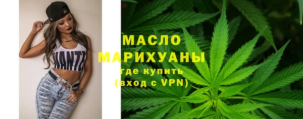 стаф Вязьма